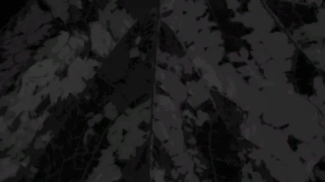 mrtrn_wallpaper1
