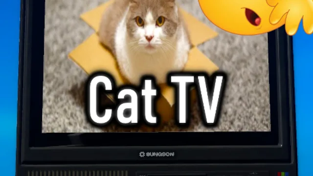 Cat TV