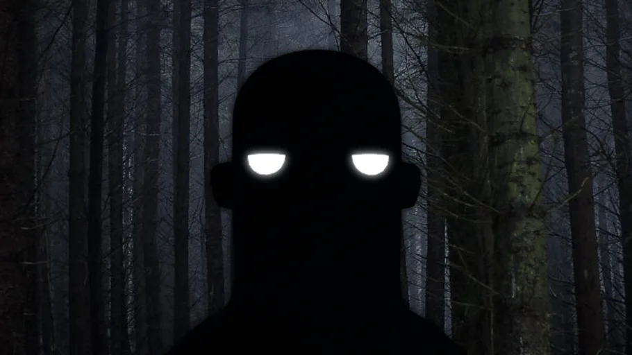 Shadow Terry