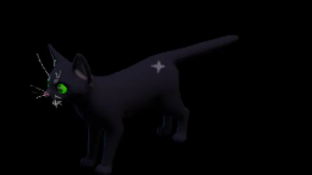 Little Kitty