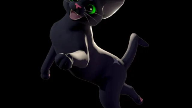 Little Kitty