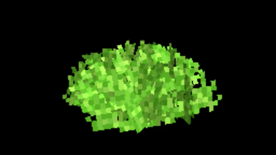 Bush