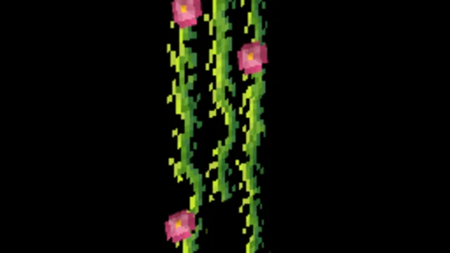 Vines Pink Flower