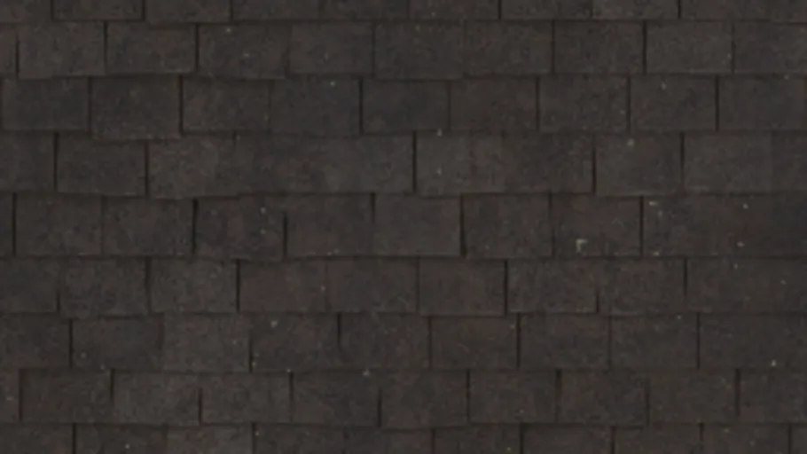 Cabin Exterior Roof