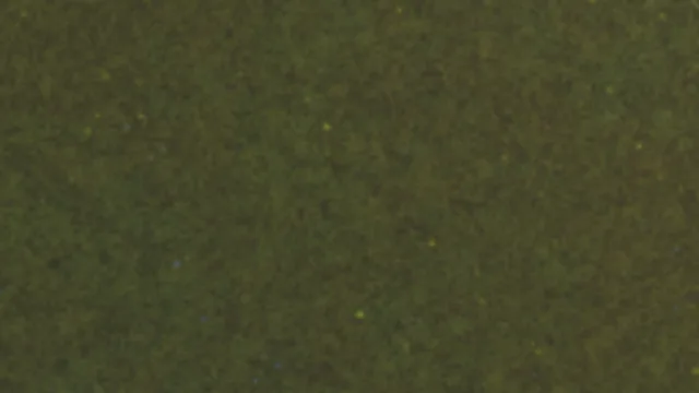 Ground 2 (Grass)