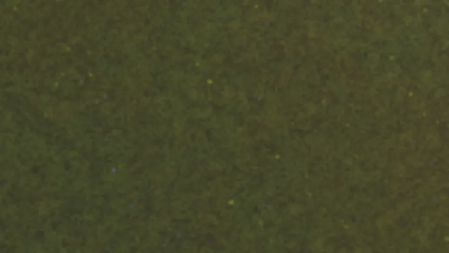Ground 2 (Grass)