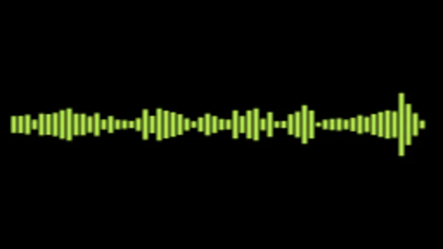 Ambiance Forest Birds Loop Stereo
