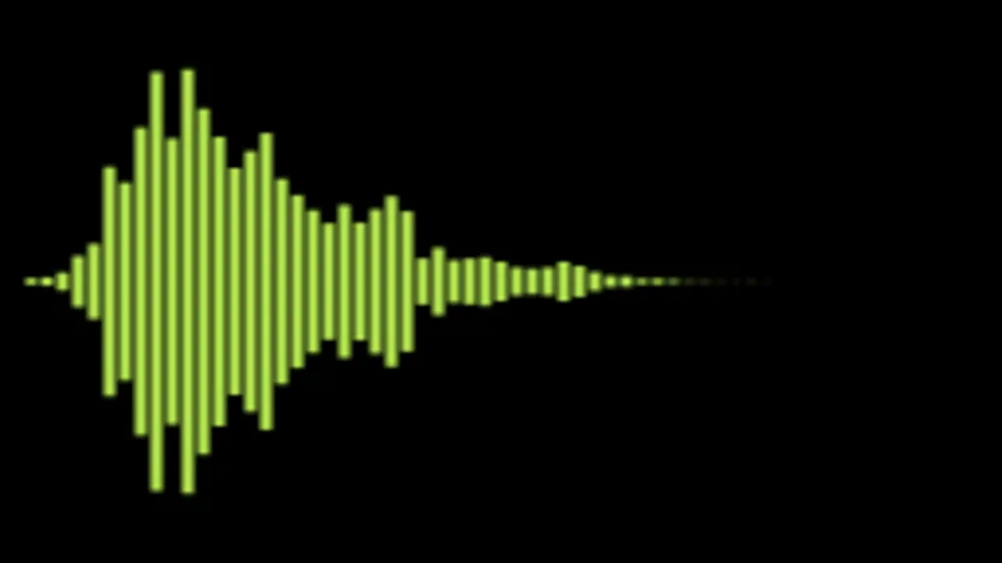 Misc 25