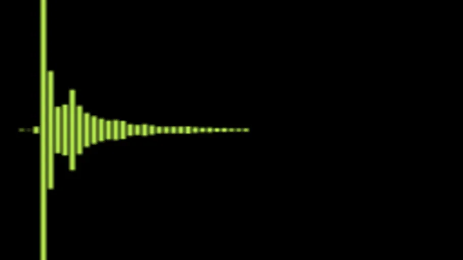 Misc 31