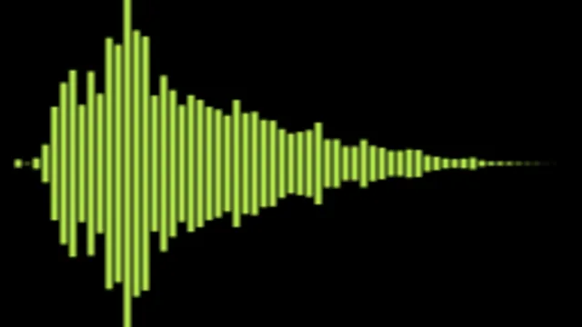 Sfx 13C