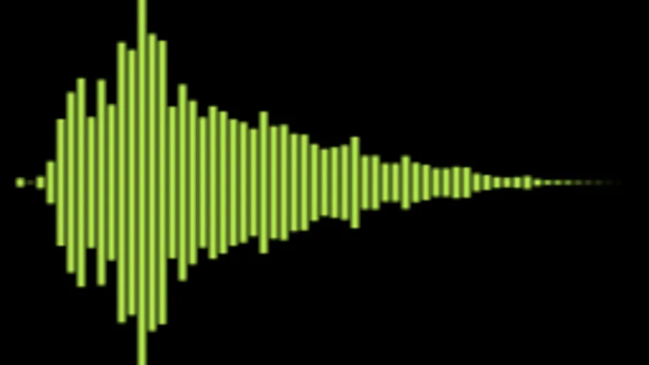 Sfx 13C