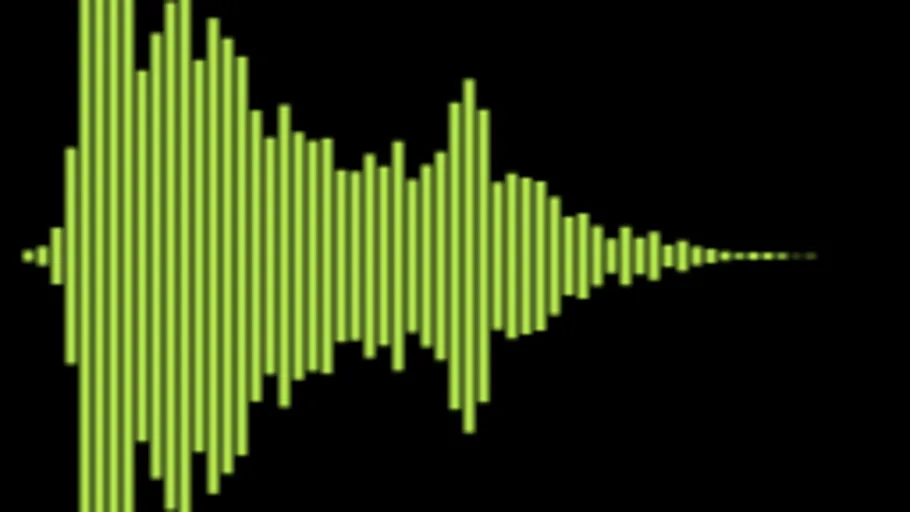 Voice Male V 2 Pain Mono 01