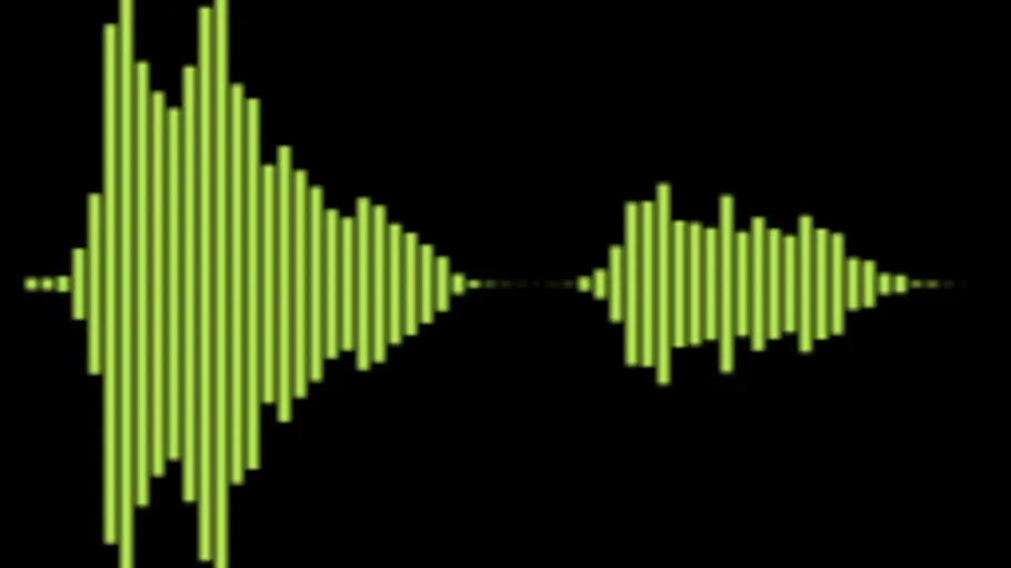 Voice Male V 2 Pain Mono 03