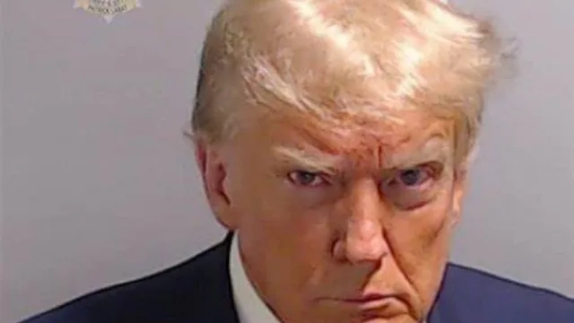 trump pt2 wip