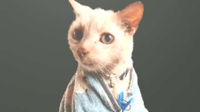 Garry Decal (Cat)