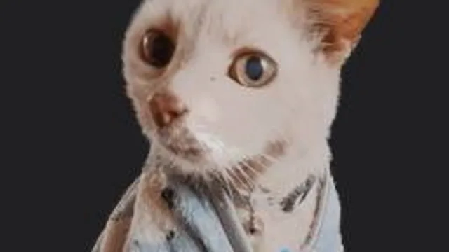 Garry Decal (Cat)