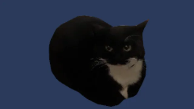 Uni