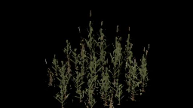reeds_small