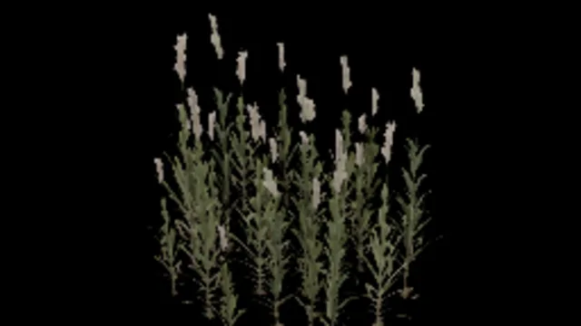 reeds_tall_white
