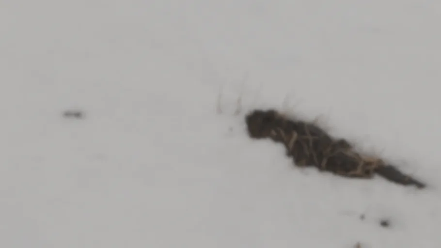 SnowField Skybox