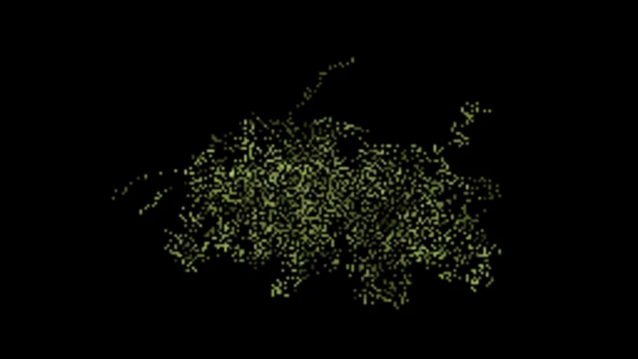 Bramble 01