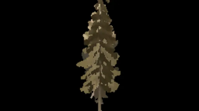 Spruce 01