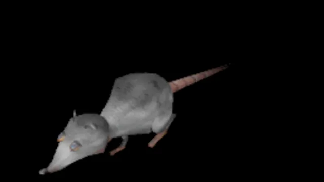 fucking_rat
