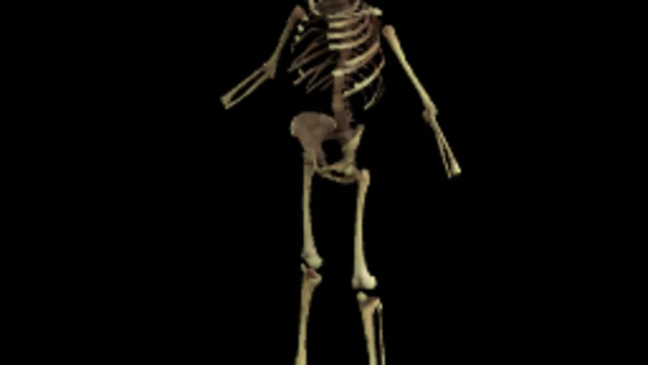 Gmod Skeleton (Playermodel)