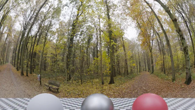 Autumn Crossing