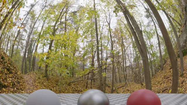 Autumn Forest 01