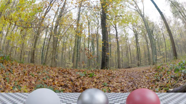 Autumn Ground