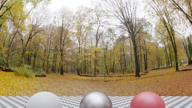 Autumn Hockey
