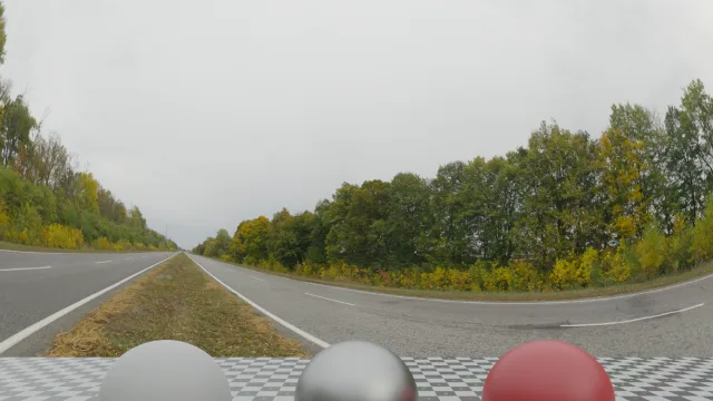 Autumn Road