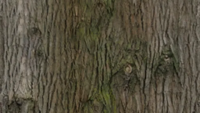 Bark Brown 02