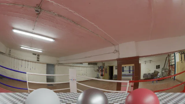 Basement Boxing Ring
