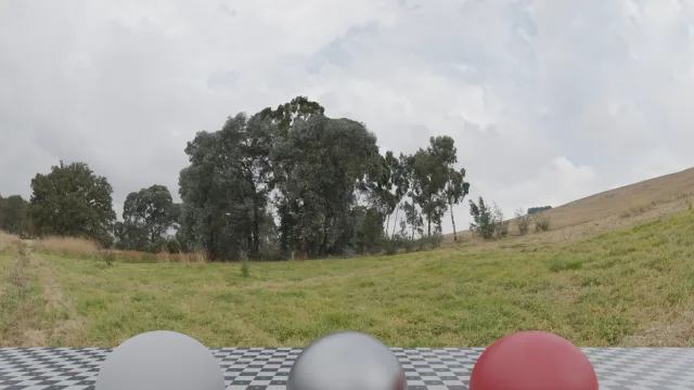 Belfast Open Field