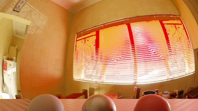 Blinds