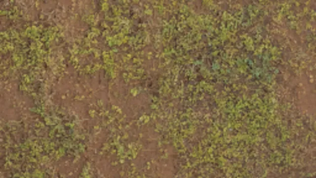 Brown Mud Leaves 01