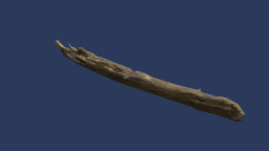 Dead Tree Trunk