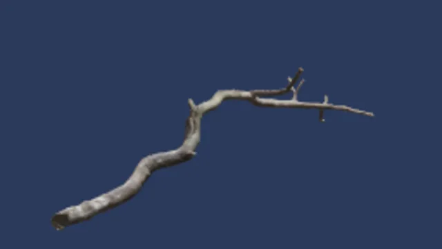 Dry Branches Medium 01a