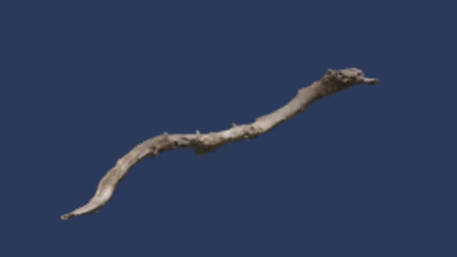 Dry Branches Medium 01b