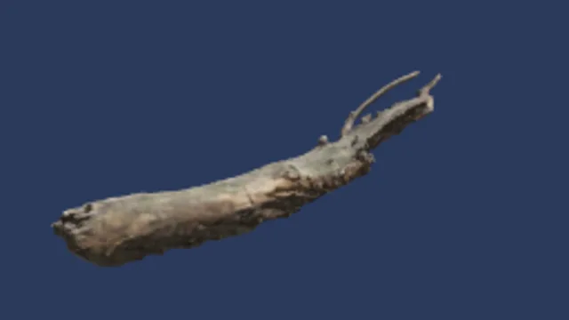 Dry Branches Medium 01c
