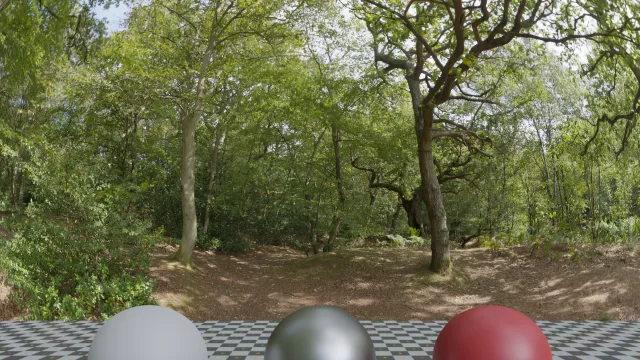 Epping Forest 01