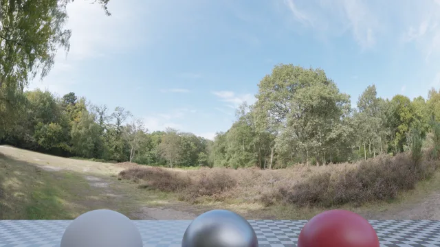 Epping Forest 02
