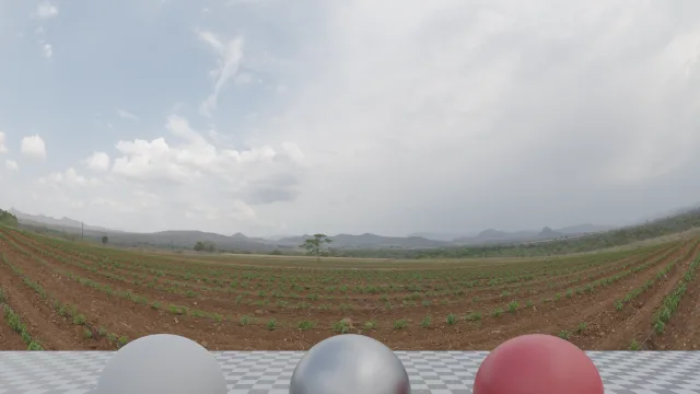 Farm Field