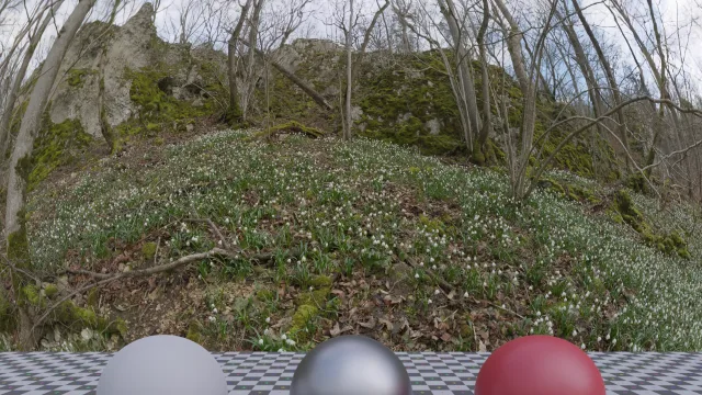 Flower Hillside