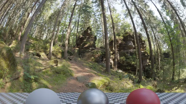 Forest Slope