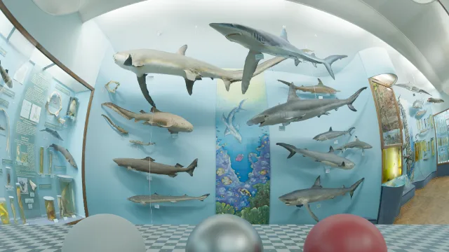 Hall of Finfish