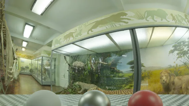 Hall of Mammals