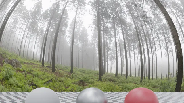 Misty Pines